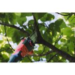 R20 Кастрачка и Храсторез 40cm 2в1 2Ah 3m RAIDER PRO RDP-PSHT20