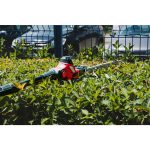 R20 Кастрачка и Храсторез 40cm 2в1 2Ah 3m RAIDER PRO RDP-PSHT20